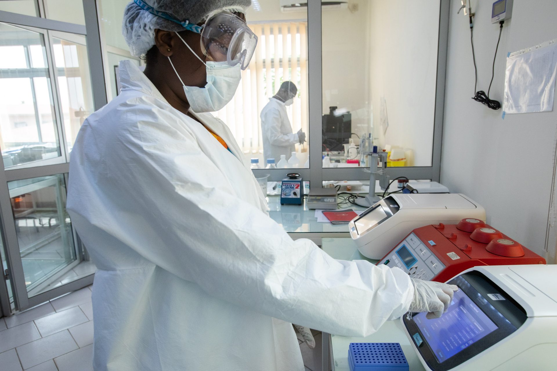 In Cameroon, a lab worker processes samples collected in wildlife to better understand zoonoses such as Ebola.