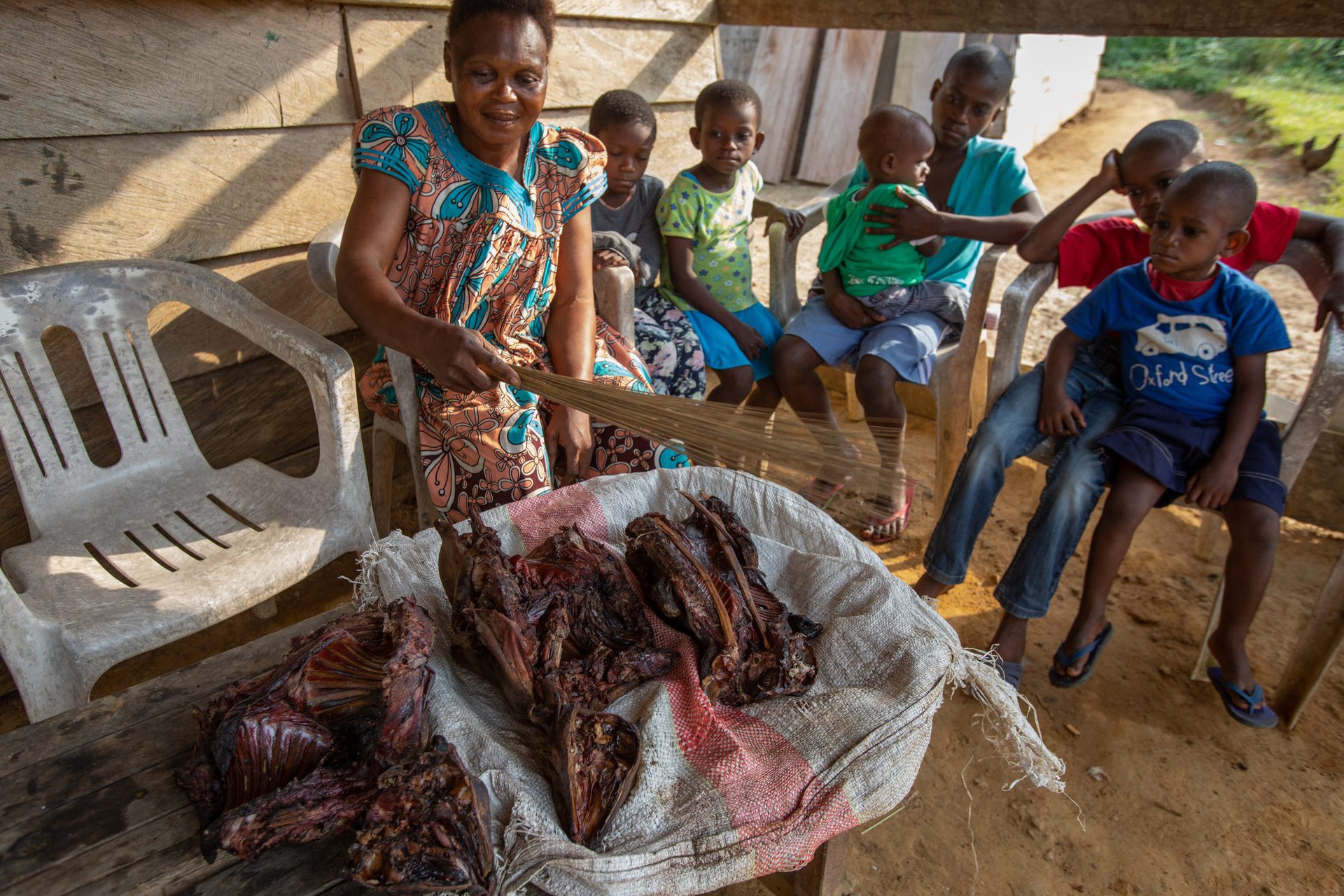 If cooked and eaten without following strict precautions, wildlife bushmeat can transmit dangerous diseases to humans. 