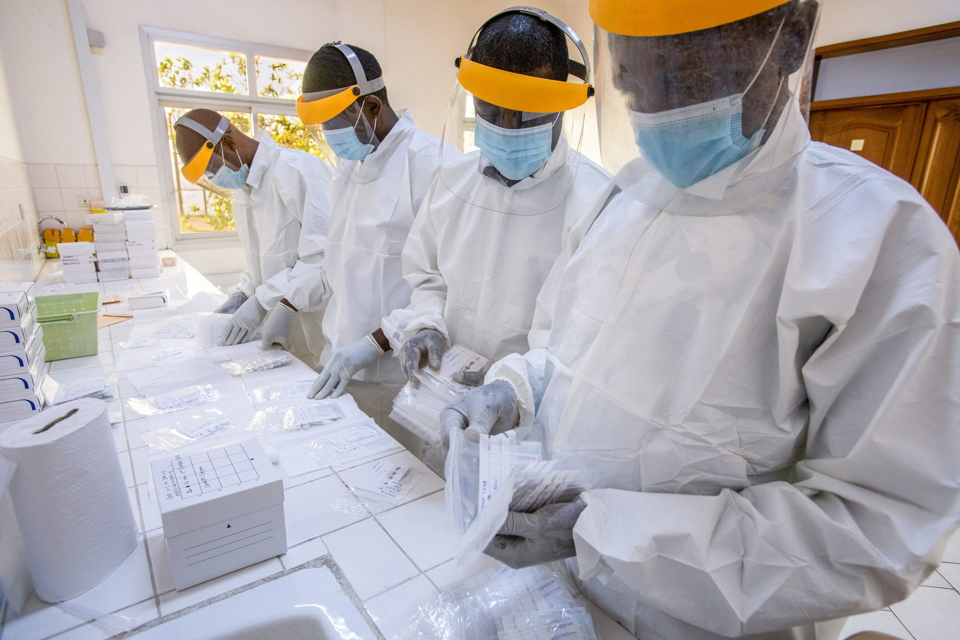 Lab workers in Yaound&#xE9; process wildlife samples.