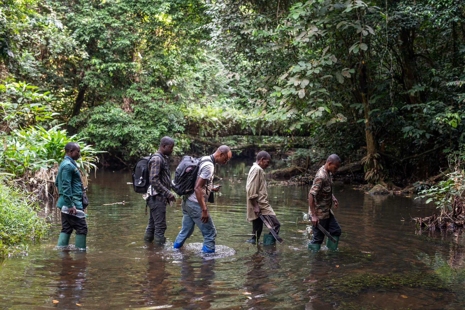 Le Projet EBO-SURSY vise à aider les pays à être mieux préparés face aux maladies provenant de la faune sauvage, telles qu'Ebola.