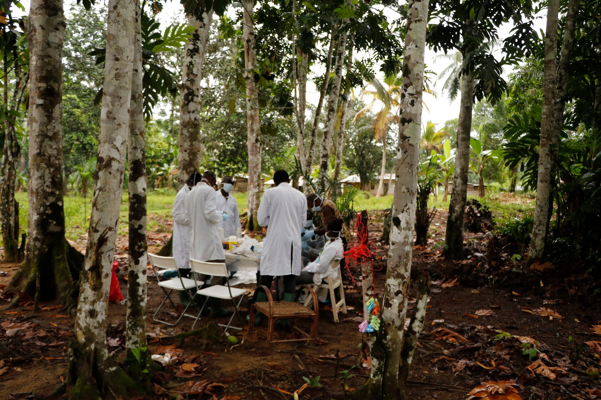 Des scientifiques traitent des échantillons prélevés sur des chauves-souris et d'autres animaux sauvages pour étudier Ebola.