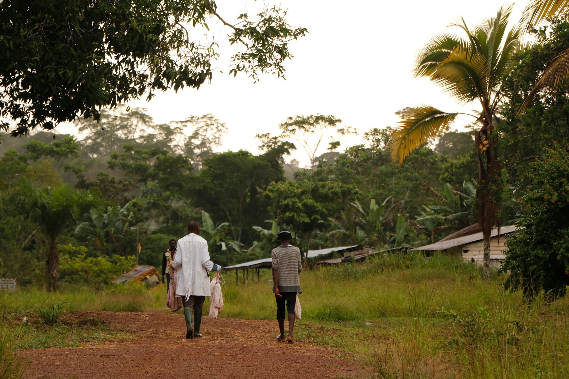 Au Cameroun, les communautés vivent à proximité d'écosystèmes naturels abritant une faune sauvage. Le Projet EBO-SURSY garantit que ces communautés connaissent toutes les mesures de sécurité pour prévenir les épidémies de zoonoses.